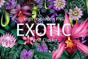 Exotic tropical flowers., an Illustration by ARTVracovska (Thumbnail 1 of 6)