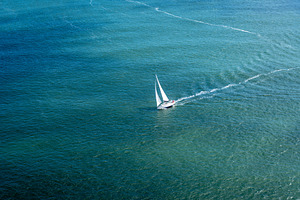 Sailboat gliding through the bay near Golden Gate Bridge, San Fr, a Transportation Photo by GoodGoods