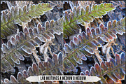 LAB Color Vol. 3 - Lab Variations, a Plug-in Add-On by Raztrend (Thumbnail 14 of 30)