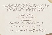 Melodies Constellation Font Duo, a Serif Font by Storytype Studio (Thumbnail 11 of 15)
