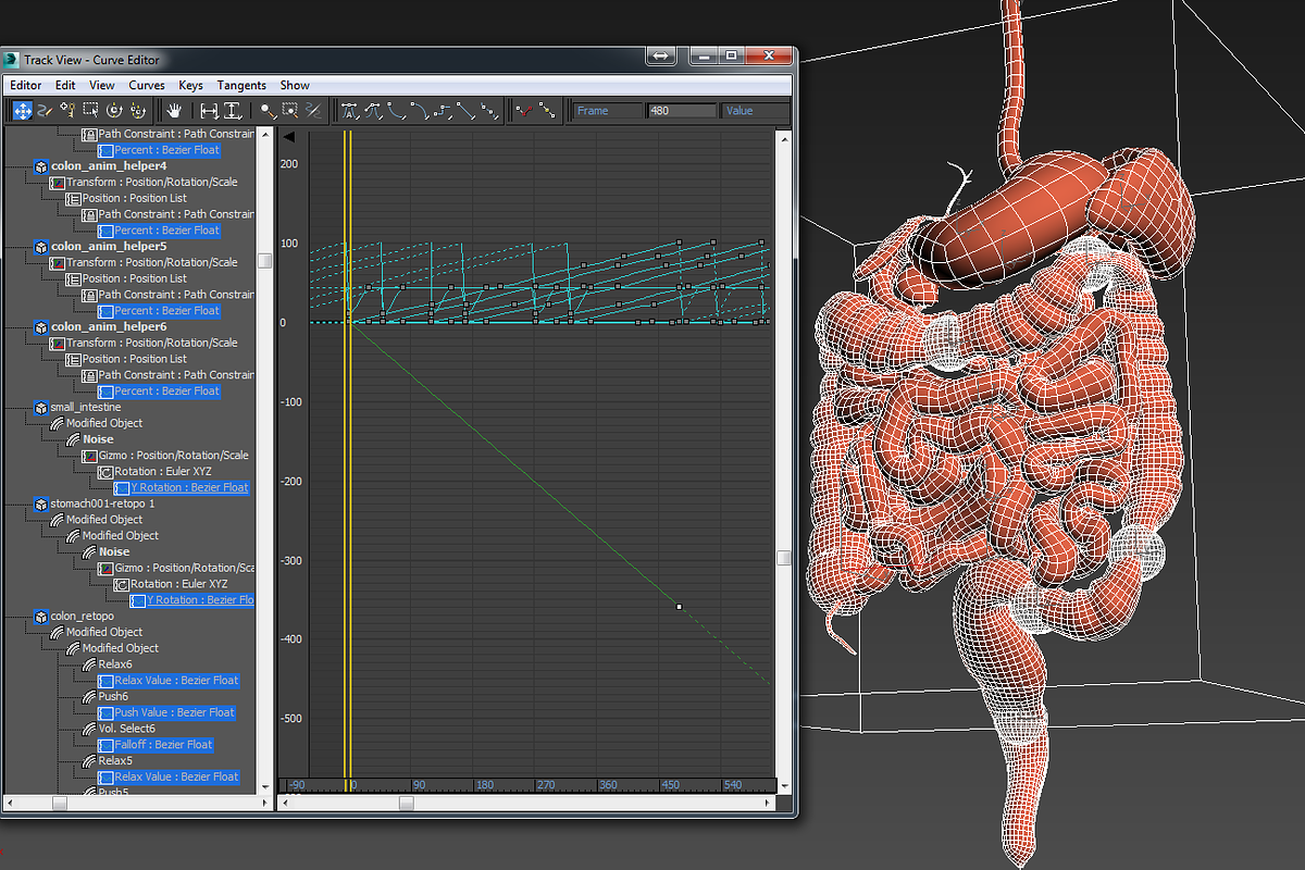 Digestive system. Animated, a Characters & Person 3D Model by konstantin.ermolaev (Photo 9 of 9)