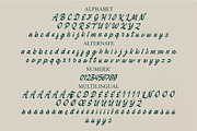 Mondieste - Casual Calligraphy Font, a Handwritten Font by Myn Type (Thumbnail 15 of 15)