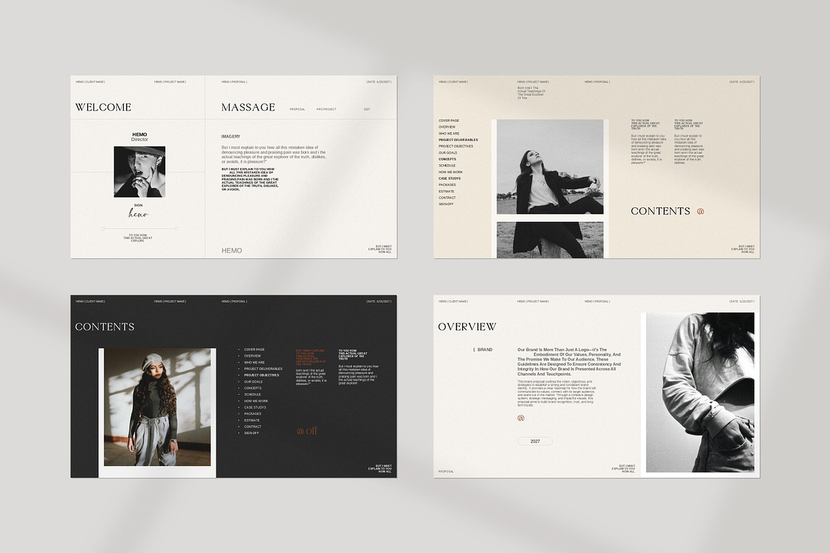 Hemo Brand Proposal Presentation preview 2