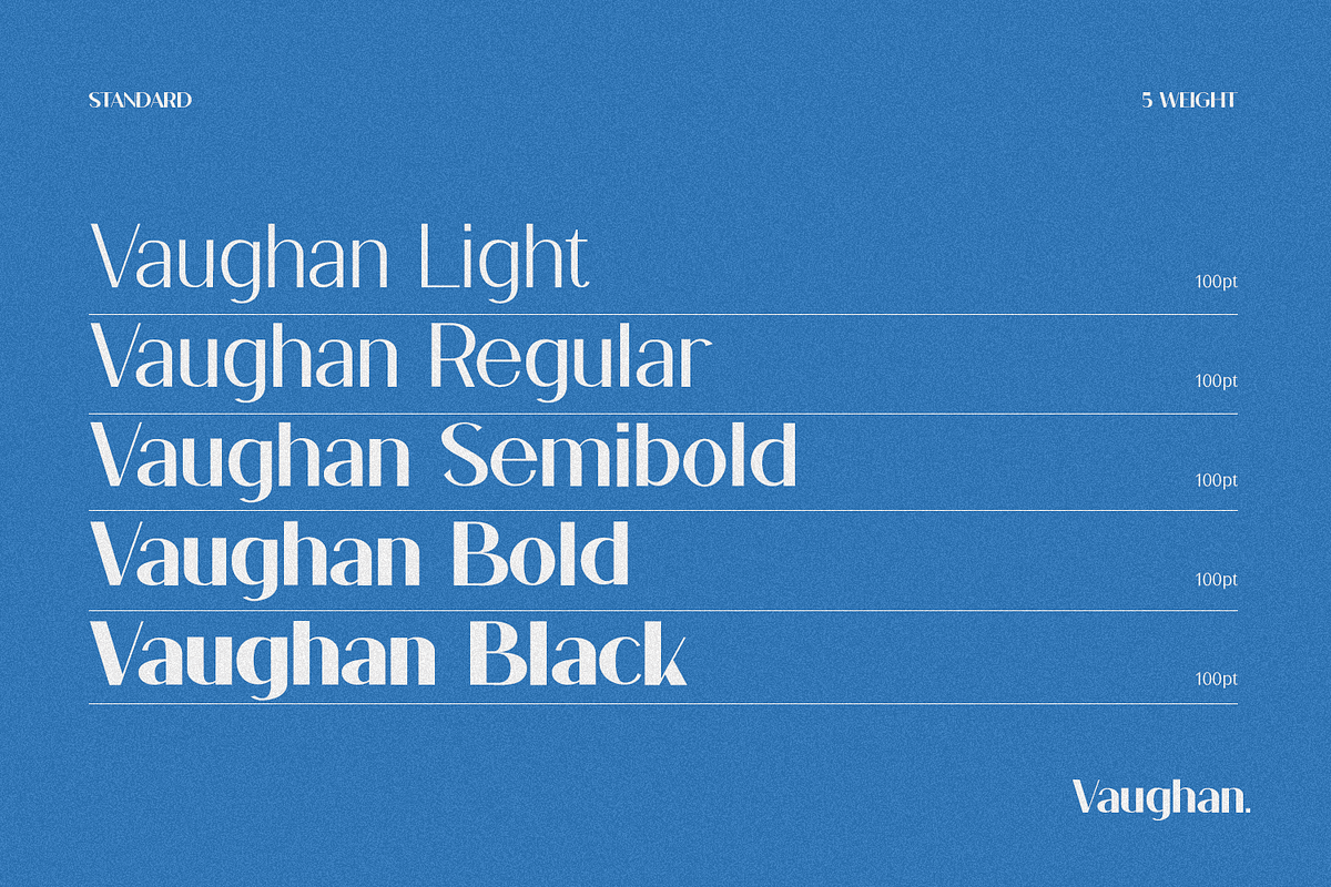 Vaughan Sans, a Sans Serif Font by FactoryType Studio (Photo 3 of 12)