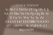 Firthe || Modern Classy Serif Font, a Serif Font by Ermedia Studio (Thumbnail 10 of 10)