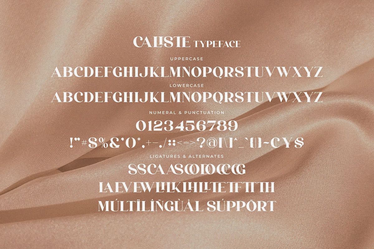 Caliste - Stylish Serif Font, a Serif Font by Aqeel_Art (Photo 9 of 10)