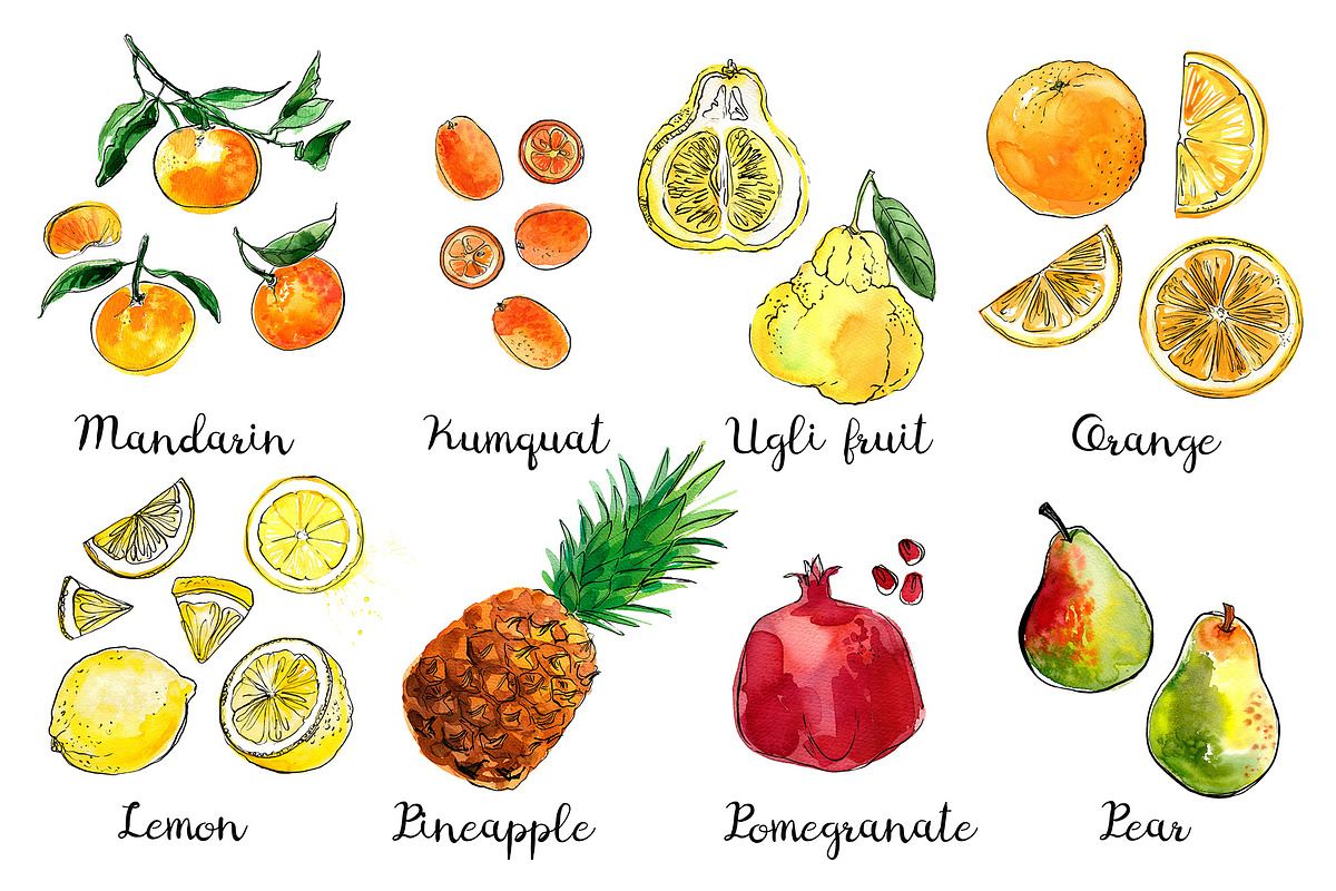 Food watercolor. Fruits and berries, a Food Illustration by irina.vaneeva (Photo 10 of 10)