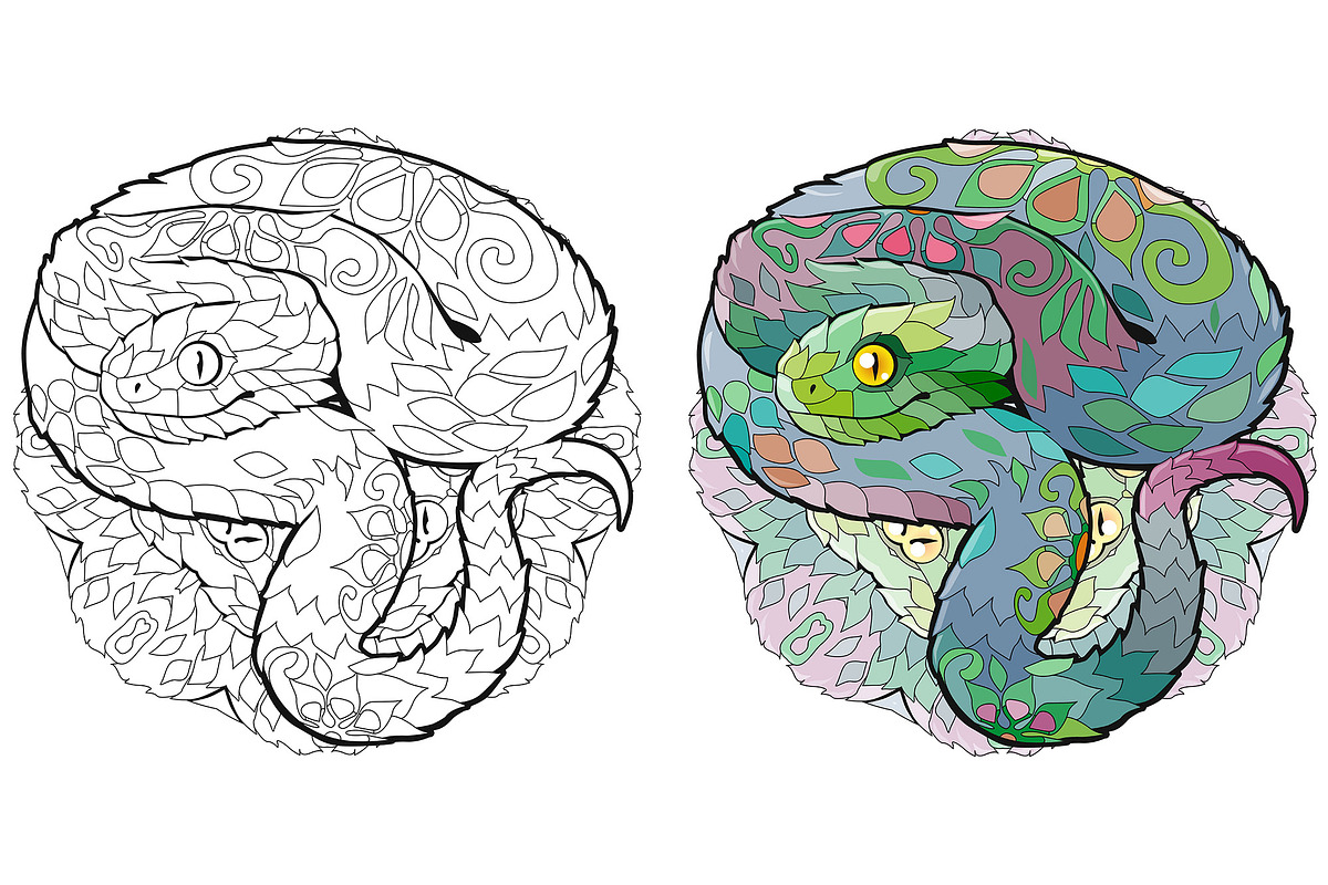 Decorative snakes for coloring, an Object Graphic by Watercolor fantasy (Photo 3 of 7)