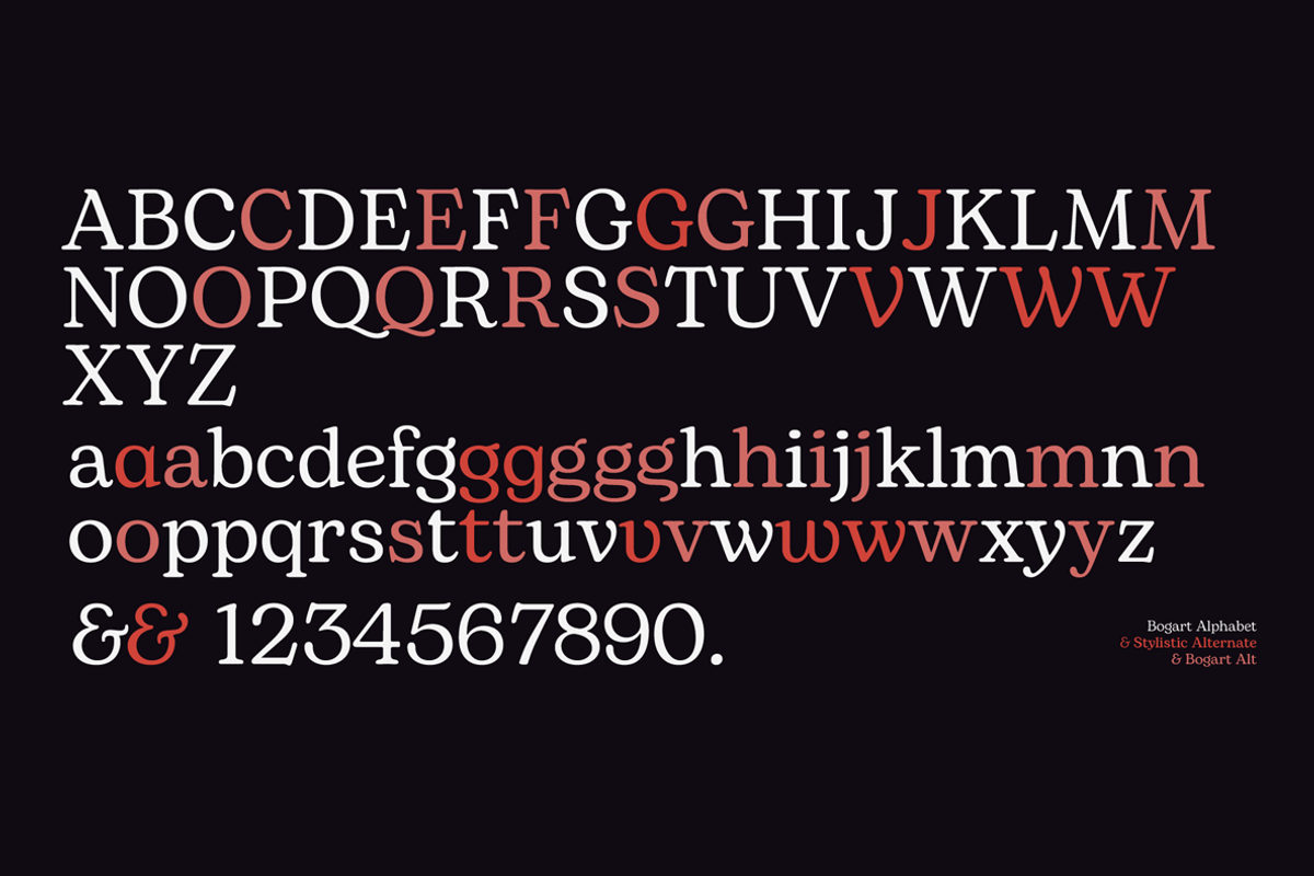 Bogart - 28 fonts, a Serif Font by Zetafonts (Photo 6 of 16)