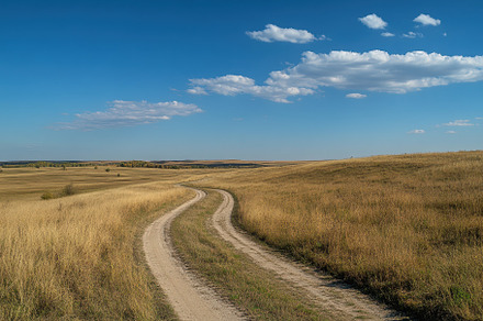 Curving Dirt Path Through Golden Gra, a Photo by Tanuart
