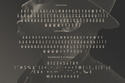 Flathead Vintage Typeface | Font, a Sans Serif Font by Headfonts (Thumbnail 7 of 9)
