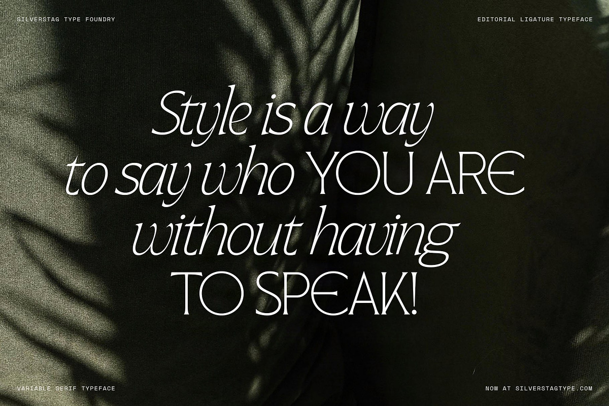 Arcilla — Variable Editorial Serif, a Serif Font by SilverStag Type Foundry (Photo 21 of 31)