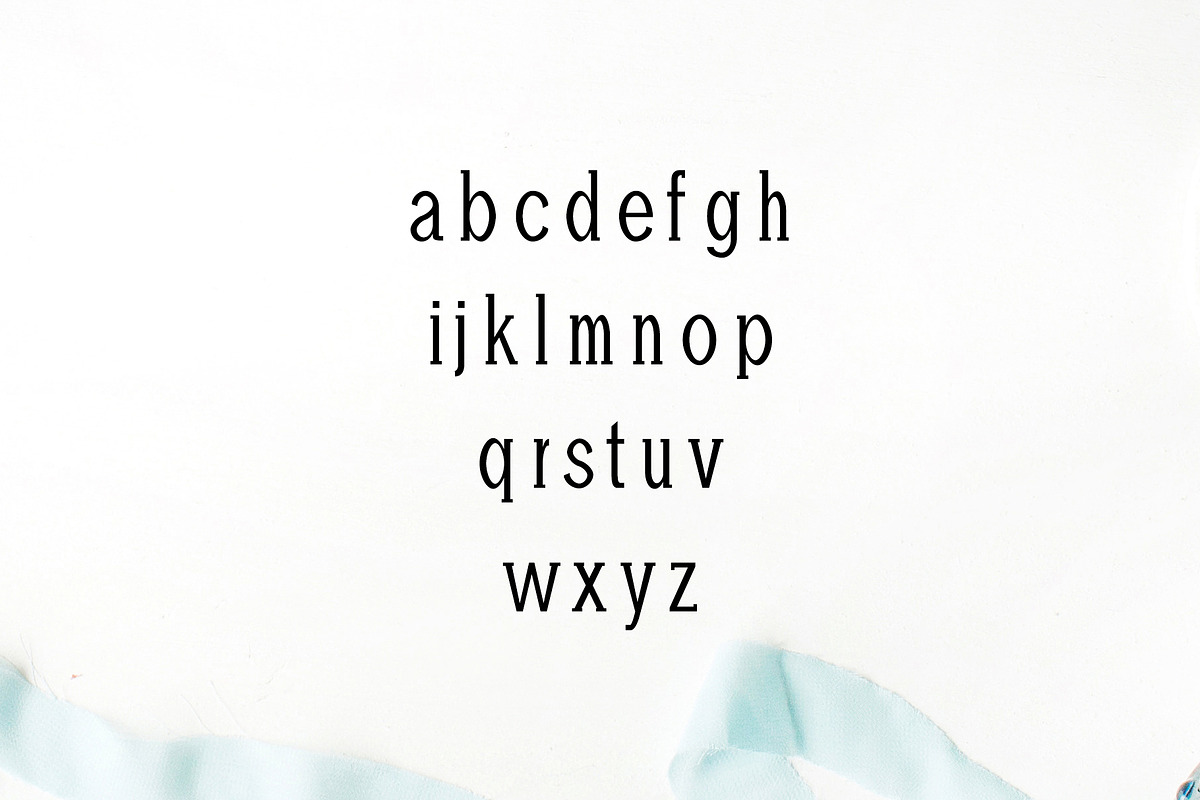 Adney Slab Serif Font Family preview 3