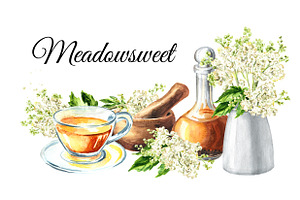 Meadowsweet