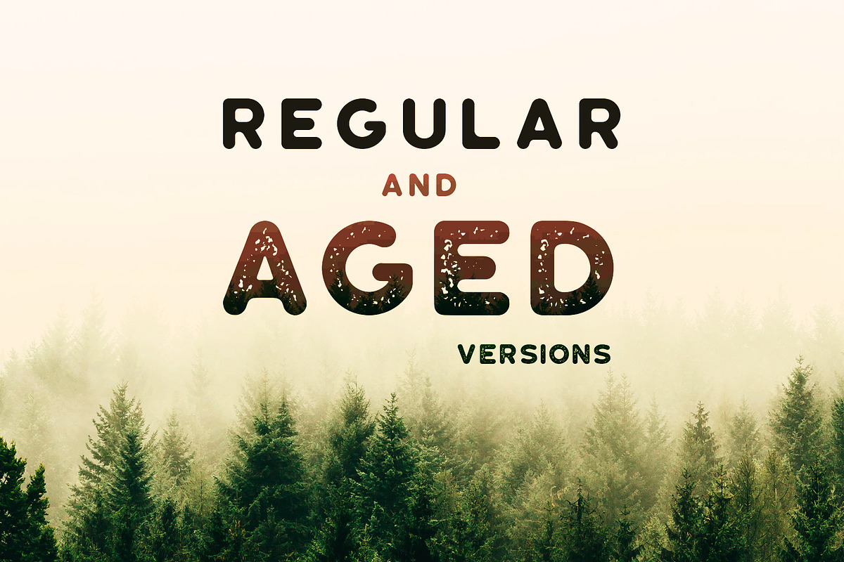 Roundhouse - Regular & Aged preview 3