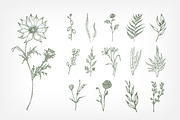 Hand drawn flowers set and seamless, a Decorative Illustration by Good Studio (Thumbnail 3 of 11)
