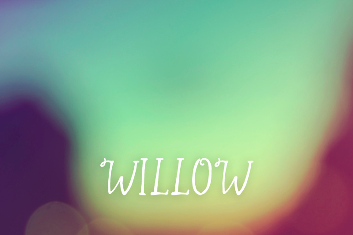 Willow preview 2