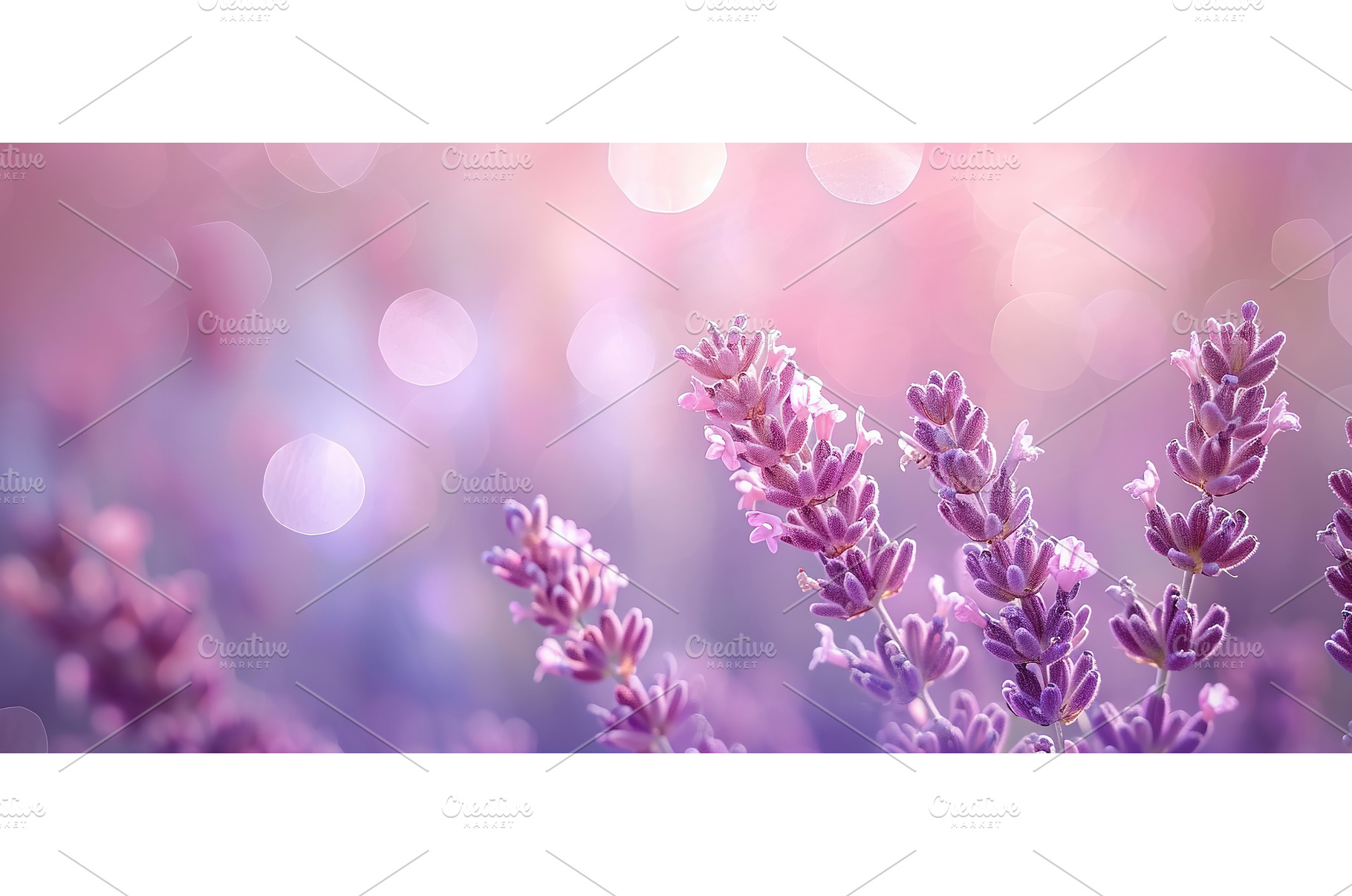Lavender blossoms with bokeh lights, a Nature Photo by Lermont51