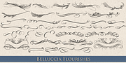 Belluccia, a Script Font by Correspondence Ink (Thumbnail 6 of 12)