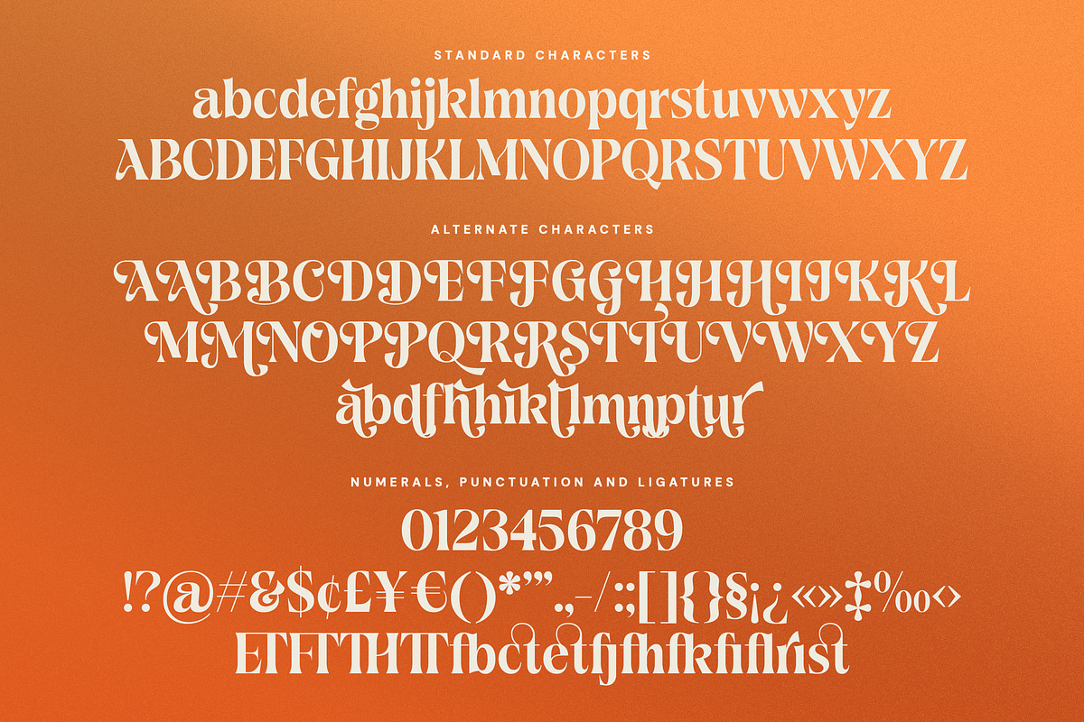 Merzalina - A Decorative Serif, a Serif Font by agnyhasyastudio (Photo 10 of 10)