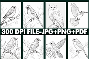 100 Bird Coloring Pages For Adults, an Object Graphic by Design Station (Thumbnail 2 of 5)