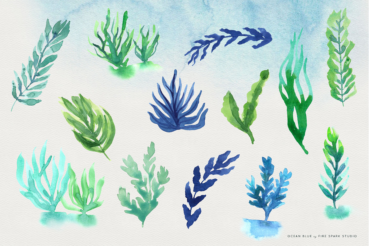 Ocean Life Watercolor Illustrations, an Illustration by Fire Spark Studio (Photo 4 of 8)