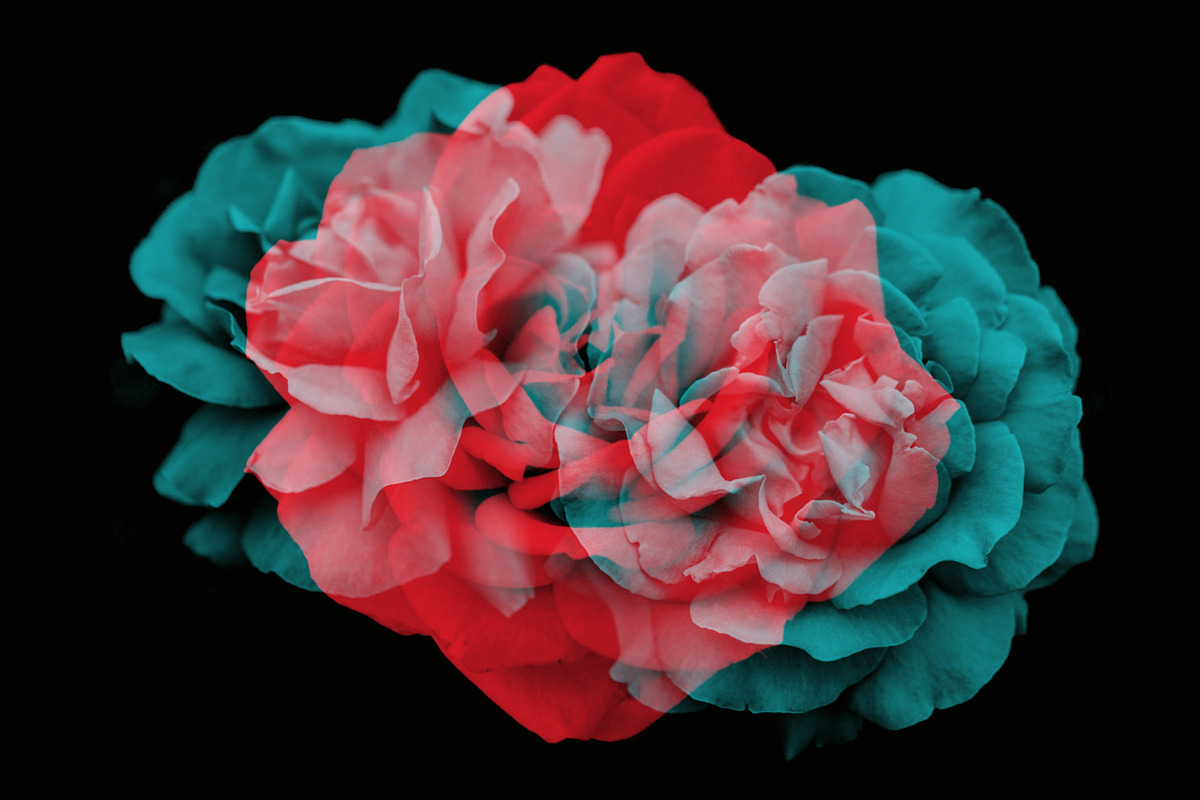 Elegant Floral Photoshop Brushes, a Brush Add-On by Milka (Photo 2 of 10)