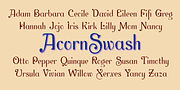 Acorn Swash, a Sans Serif Font by Ingrimayne Type (Thumbnail 2 of 7)