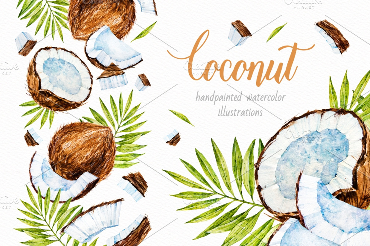 Coconut. Watercolor., a Decorative Illustration by Ekaterina Mikheeva (Photo 1 of 5)