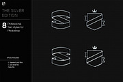 Silver Photoshop Layer Styles, a Layer Style Add-On by Egotype (Thumbnail 4 of 4)