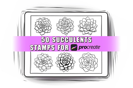 50 Succulent Procreate Stamps Brush