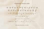 Enchanted Vintage Distressed Script, a Script Font by Littlehand (Thumbnail 9 of 9)