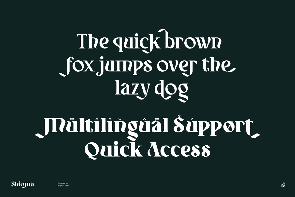 Shioma, a Serif Font by Aluyeah Studio (Photo 13 of 15)