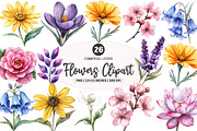 Watercolor Flowers Clipart Bundle, an Illustration by SinaCreation (Thumbnail 1 of 4)