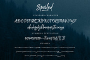 Spoiled Brush Font, a Script Font by trustha (Thumbnail 11 of 11)