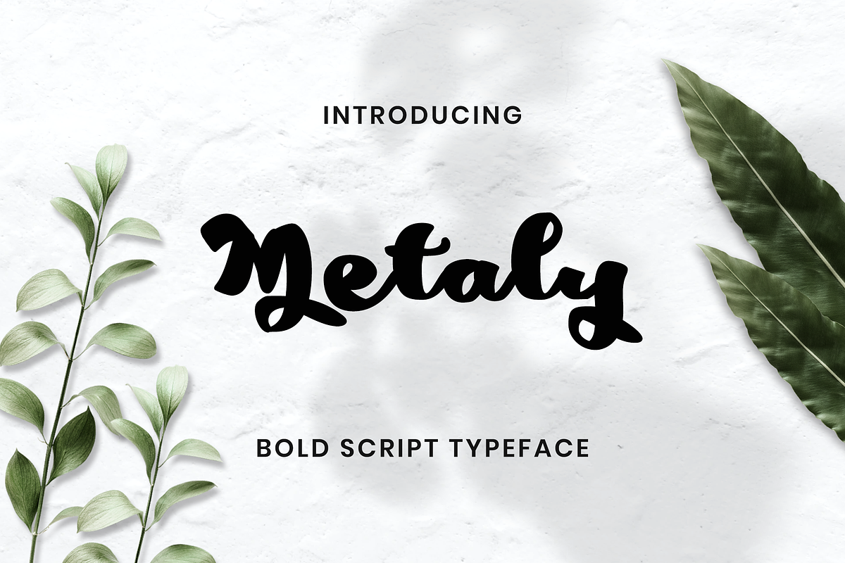 Metaly Modern Script Font, a Script Font by Haws.std (Photo 1 of 6)