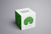 Centella Asiatica plant leaf, a Food Illustration by separisa (Thumbnail 3 of 5)