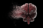 All about the mind, a School & Education Photo by iLexx (Thumbnail 2 of 4)