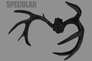 Deer Horns, an Animal 3D Model by Beatheart Creative Studio (Thumbnail 5 of 17)