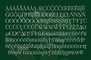 Cardinal Flower, a Serif Font by Typehill (Thumbnail 14 of 15)