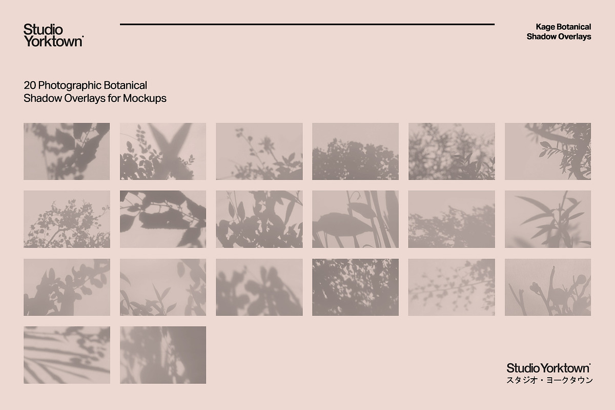 Kage - Botanical Shadow Overlays, a Texture Graphic by Studio Yorktown (Photo 2 of 10)