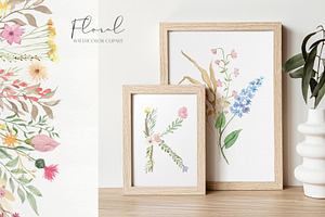 Watercolor Wildflowers Graphic Set