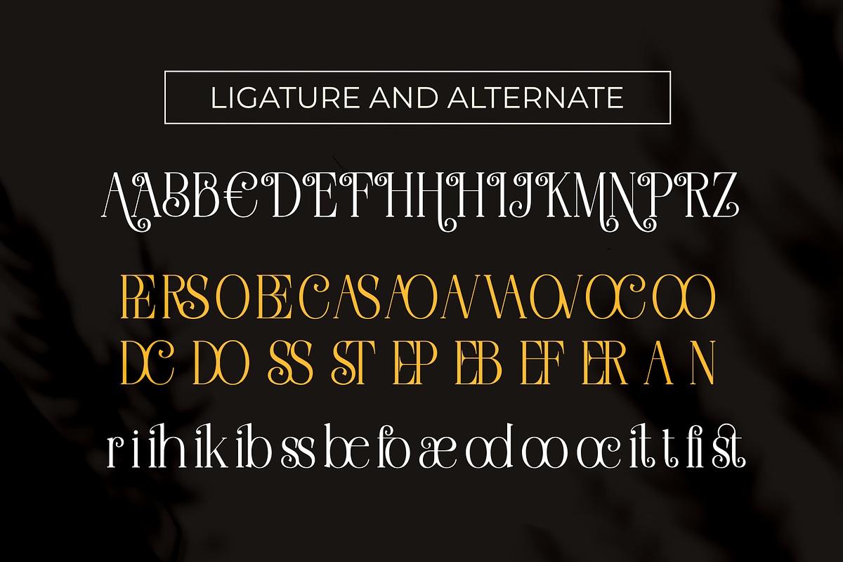 Braxttile Elegant Serif Font, a Script Font by Graphicxell (Photo 8 of 9)