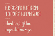 Enfiyali Alovelly Love Modern Script, a Script Font by Denustudios (Thumbnail 10 of 13)