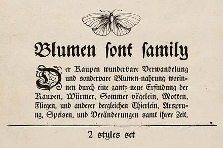 Blumen blackletter font family, a Blackletter Font by kaer_shop