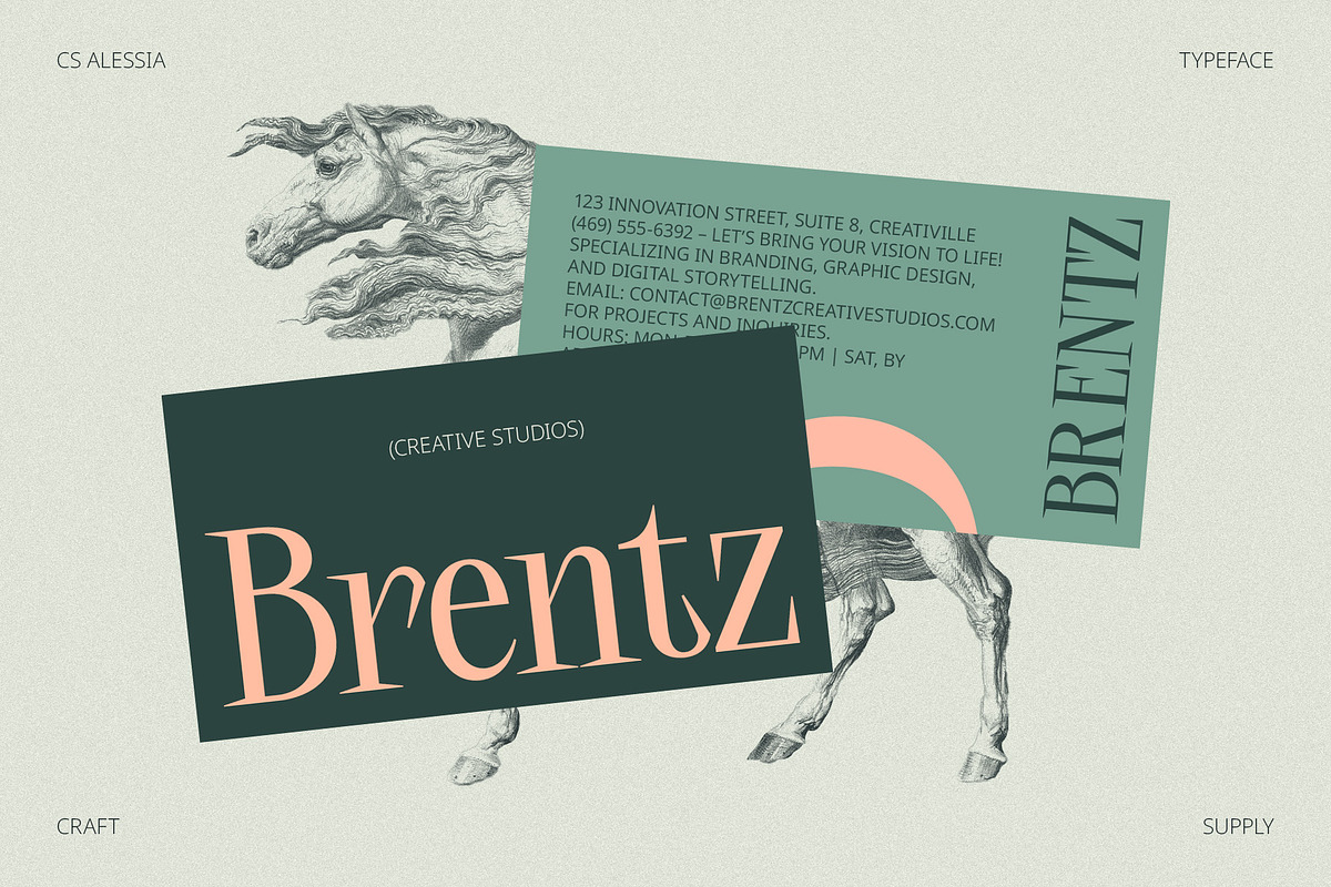 CS Alessia – Elegant Font, a Serif Font by Craft Supply Co. (Photo 2 of 8)