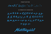 Bluesky OpentypeSVG Font, a Script Font by Blankids Studio (Thumbnail 9 of 9)