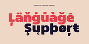 Dillan, a Sans Serif Font by TypeUnion (Thumbnail 8 of 14)