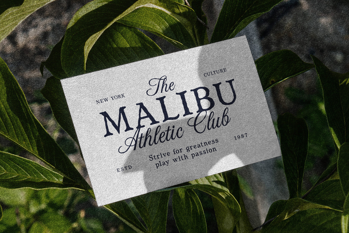 Bonfield – Modern Vintage Duo Font, a Serif Font by Honestype (Photo 10 of 12)