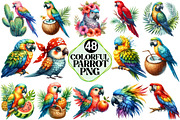 Colorful Parrot Clipart, an Illustration by Pixels.Craft (Thumbnail 1 of 7)